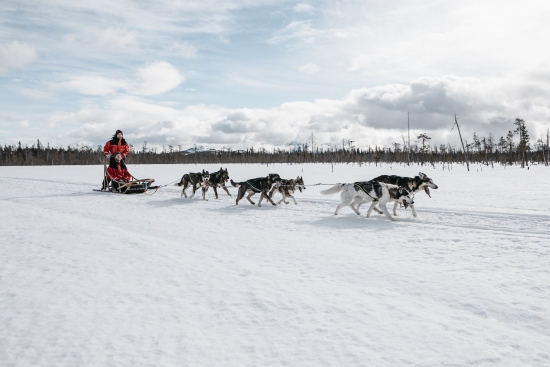 Kansainväliset matkailijat harvoin haluavat suunnata Lapin erämaahan omin päin, vaan luontoon lähdetään tunnetun ja luotettavan toimijan järjestämillä retkillä.