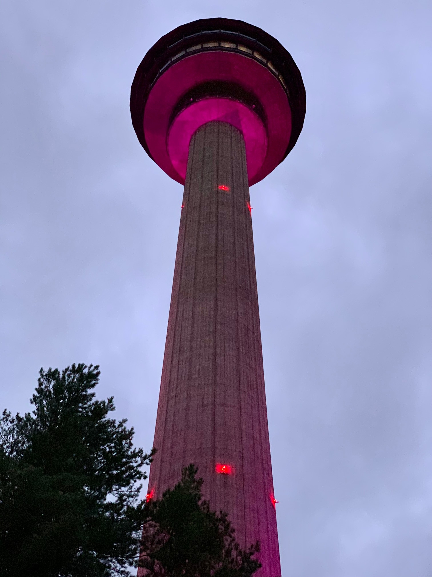 Tampereen kattojen yläpuolella, 124 metrin korkeudessa sijaitsevan Ravintola Näsinneulan ruokalista päivittyy vuodenaikojen mukaan.