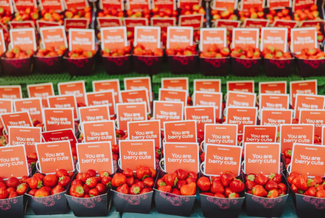 Pohjoismaiden johtava hotellikonserni muuttaa nimeään.